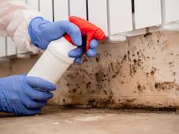 Best Asbestos and Lead Testing During Mold Inspection  in Pamplico, SC